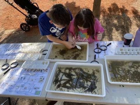 Water Bugs ABGS Open Day 2024