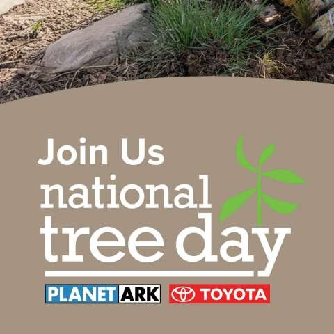 National Tree Day - Social Media - Carousel 03