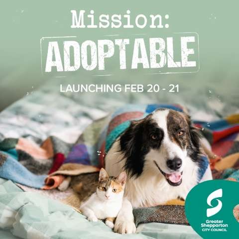 Mission Adoptable - Social Tiles 01