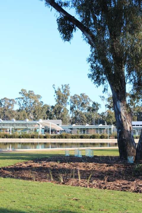 Victoria Park Lake and Aquamoves